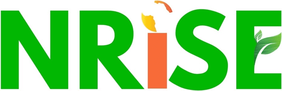 NRiSE: Nigerian Renaissance Initiative for Sustainable Enterprise